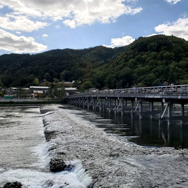 山水之間: 嵐山的一日遊