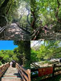 🇰🇷 Seonimgyo Bridge 📍Jeju Island