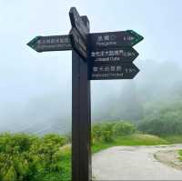 台北的後花園陽明山擎天崗 - 遼闊的大草原，可愛牛牛就在你身邊