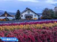 日本北海道-四季花田與雪山織成的美景：富田農場