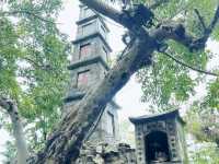 Ngoc Son Temple 