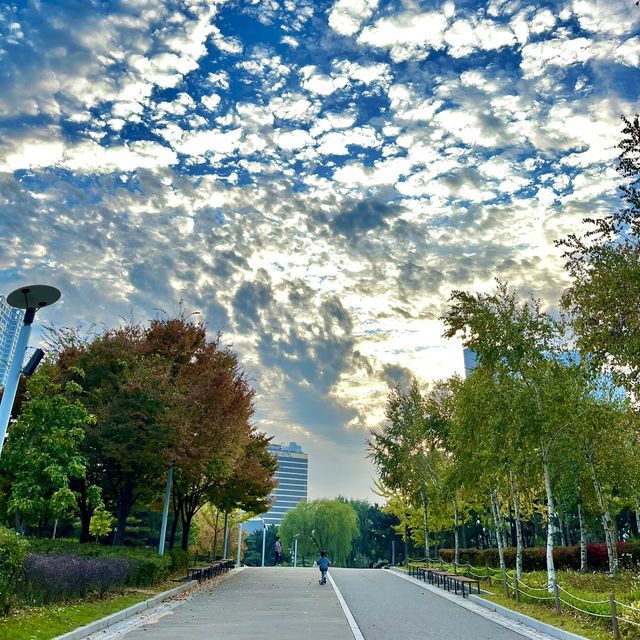 🍂🍁가을에 산책하기 좋은곳 - 송도 센트럴파크🌳