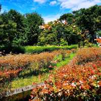 大阪萬博紀念公園