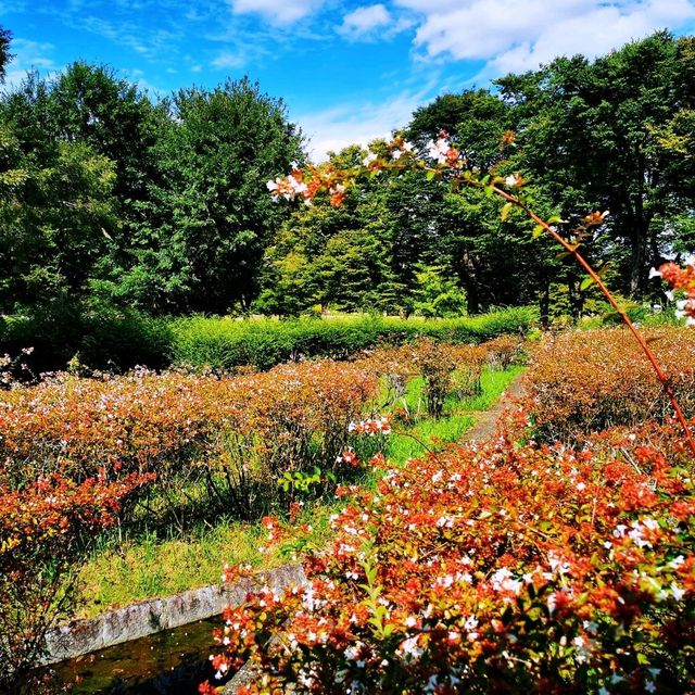 大阪萬博紀念公園