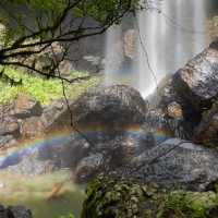 Chasing Waterfalls: Uncovering Atherton Tablelands' Hidden Gems