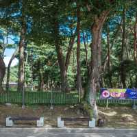 한국 최초의 서원