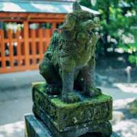 八阪神社：歷史文化的交匯點 ⛩️🌸