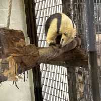 野毛山動物園