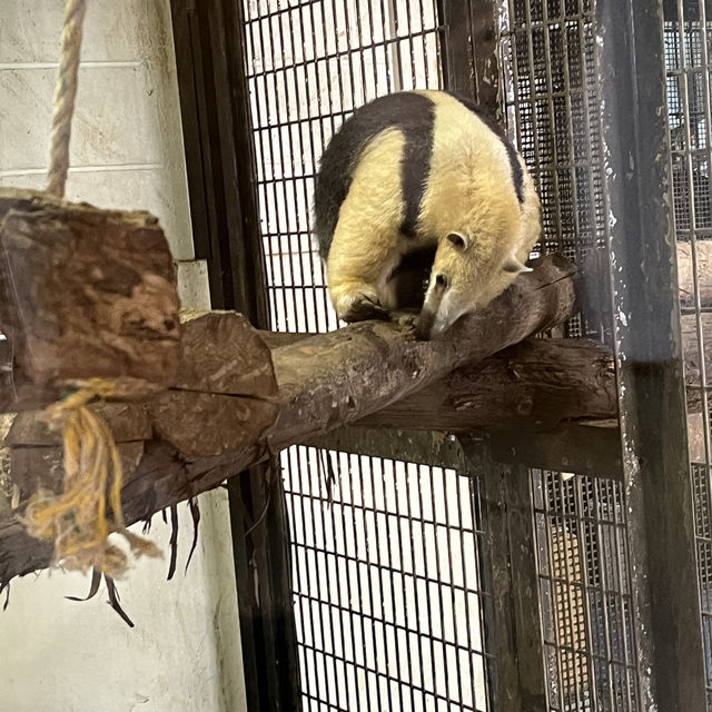 野毛山動物園