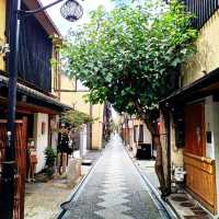 【京都】お薦め！夜の京都観光 五花街 先斗町
