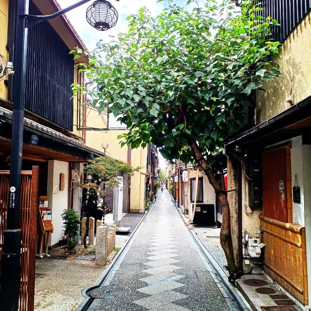 【京都】お薦め！夜の京都観光 五花街 先斗町