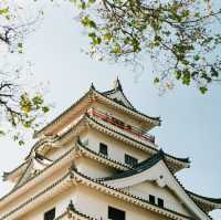 唐津!! 日本小眾旅遊地方