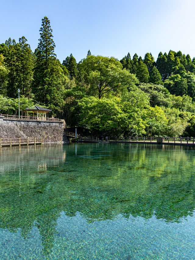 【鹿児島県】霧島山麓丸池湧水