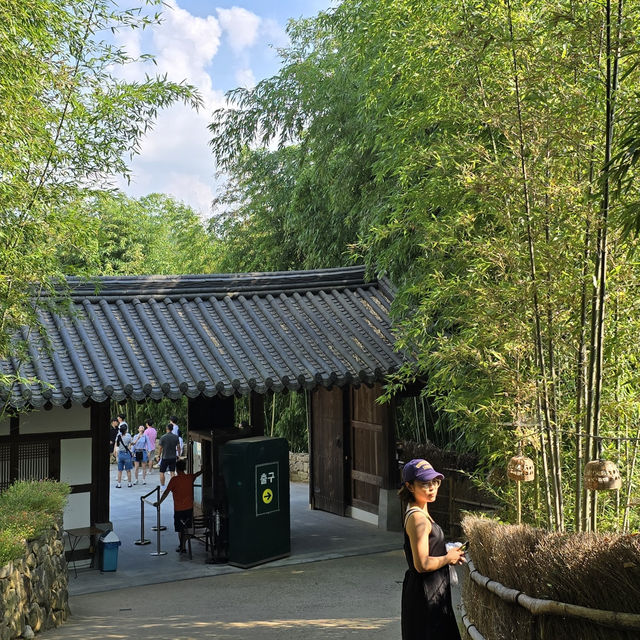 [담양] 대나무 소리가 시원한 죽녹원 여행🎋
