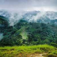 Ta Nang - Phan Dung hiking trail is very beautiful