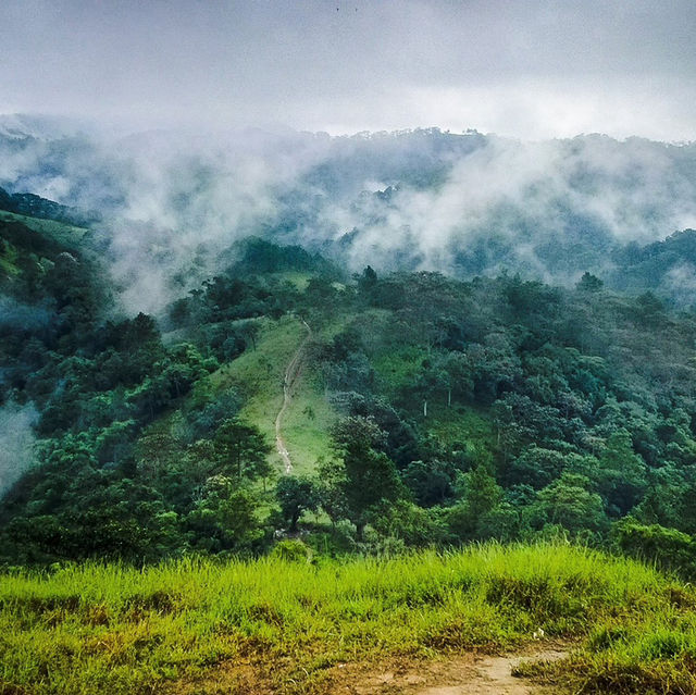 Ta Nang - Phan Dung hiking trail is very beautiful
