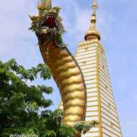 วัดพระธาตุหนองบัว อุบลราชธานี