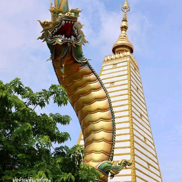 วัดพระธาตุหนองบัว อุบลราชธานี