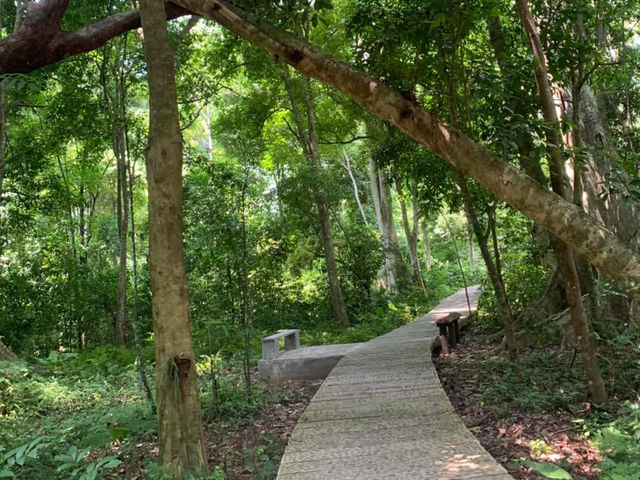 Zip line experience at Green Jangle park 