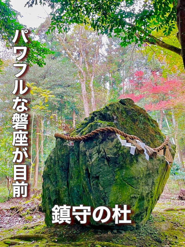 【京都府】パワフルな磐座が目前
