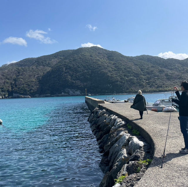 【五島列島 福江島】港まつり
