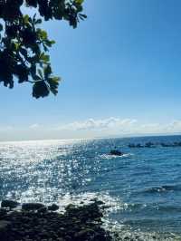 🇵🇭What an adventure to swim with whale sharks in Oslob! 