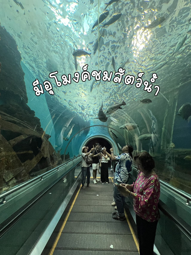 สถานแสดงพันธุ์สัตว์น้ำระยอง