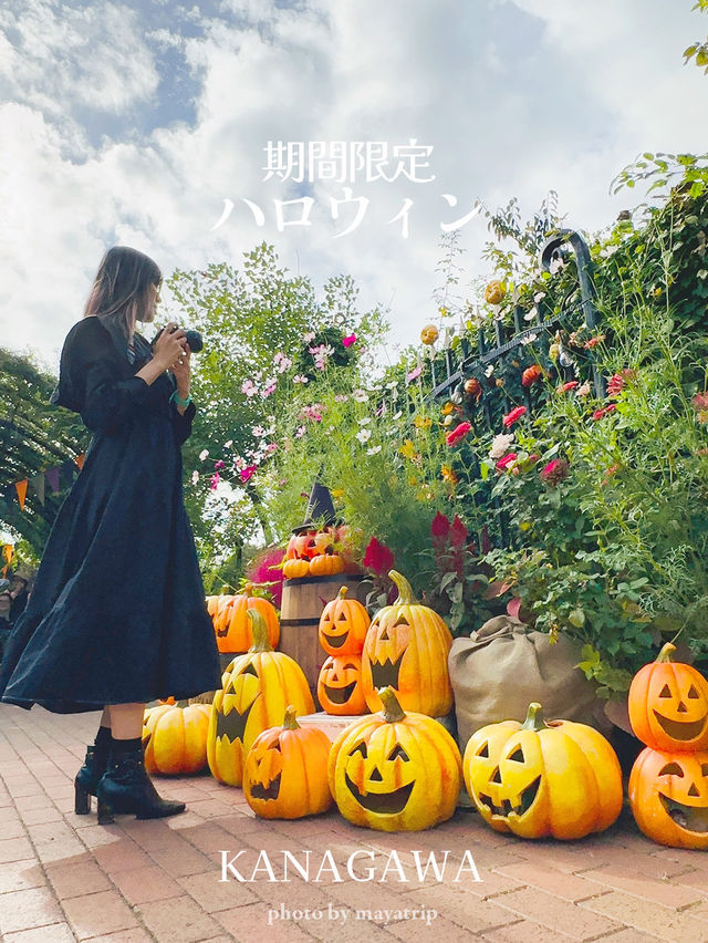 横浜から近いガーデンハロウィン装飾！【神奈川 / 横浜】
