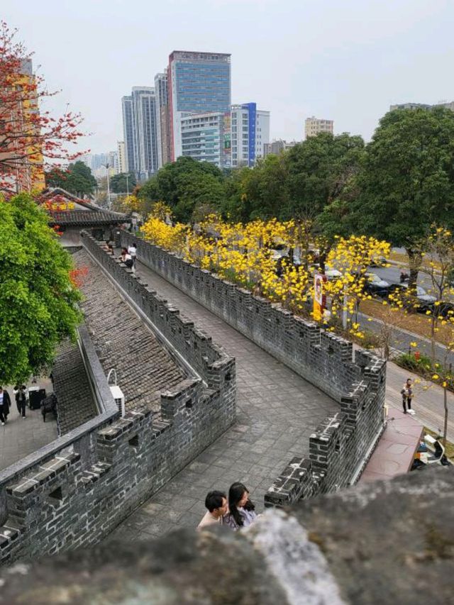 「深圳萬景樓：春天賞花勝地，放鬆心情嘅好地方！」
