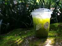 ทานข้าวโพดหวานที่ Cornily Corn farm