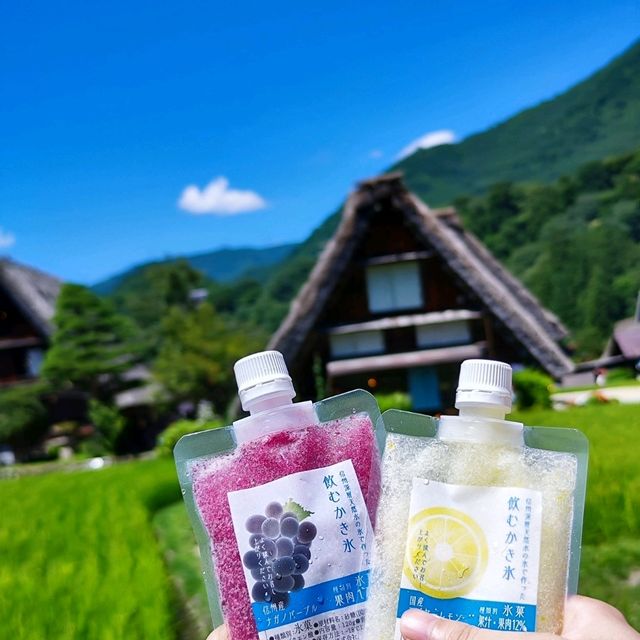 Shirakawago in Summer