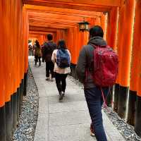 Journey Through the Red Gates: My Adventure at Fushimi Inari!