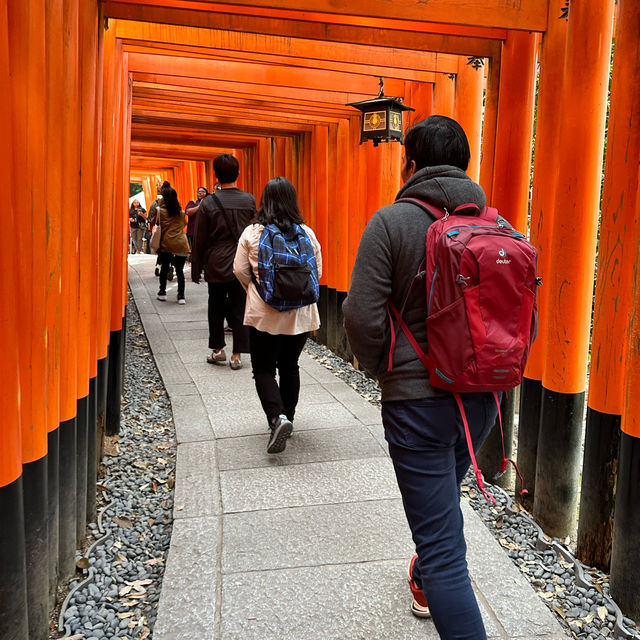 Journey Through the Red Gates: My Adventure at Fushimi Inari!