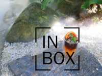 คาเฟ่มินิมอลสีขาวที่ Inbox cafe