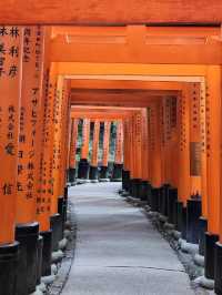 Fushimi Inrai หรือวัดเสาแดงที่เกียวโต ⛩️✨