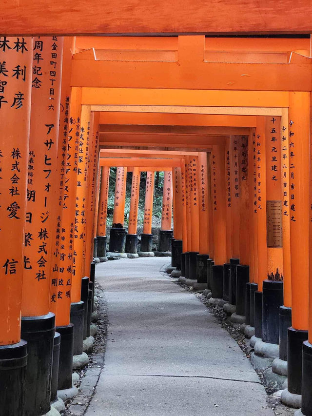 Fushimi Inrai หรือวัดเสาแดงที่เกียวโต ⛩️✨