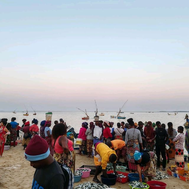 Maputo fish market, experience the local market