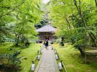 松島　円通院