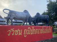 พิพิธภัณฑ์วัวชน นาหมื่นศรี