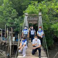 ท่องเที่ยวเชิงอนุรักษ์ที่ทุ่งโปรงทองปากน้ำประแส