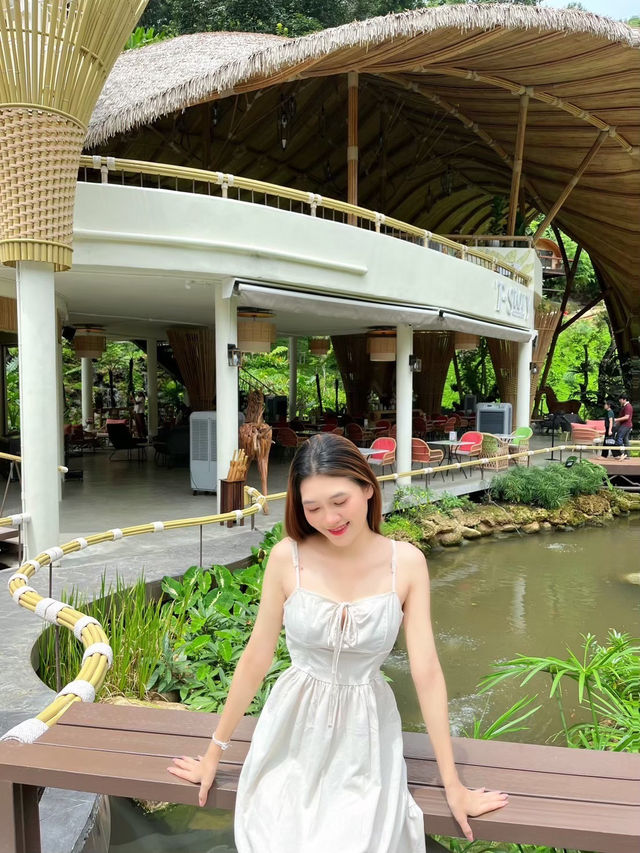 T Story - Mae Kampong🌳🛖