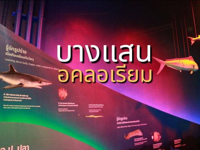 เที่ยวอควาเรียมบางแสน