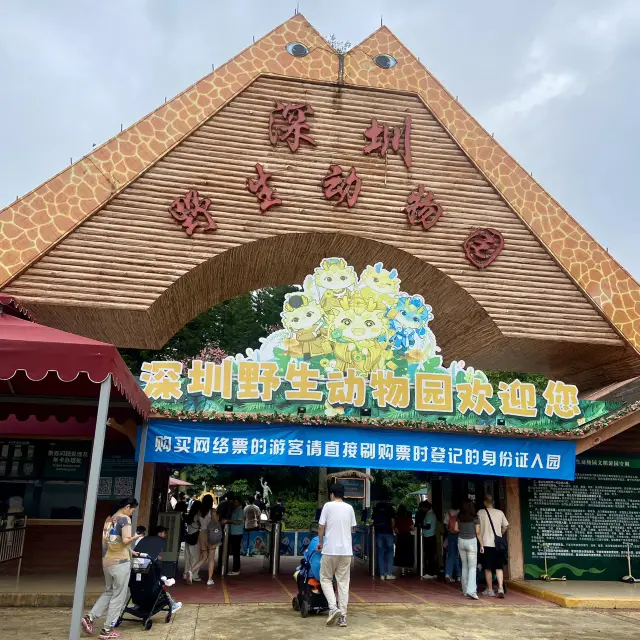 🐘🦍令人難忘的深圳野生動物園🦁