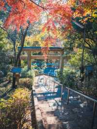景點推薦：五月山公園——遠眺城市全景的隱藏秘境