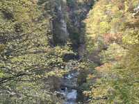 ใบไม้เปลี่ยนสีที่ Naruko Gorge 