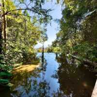 Explore the Tranquility of Wat Pha Lat