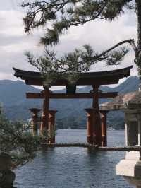 Historical Moment, travelling back in time - A day trip to Hiroshima