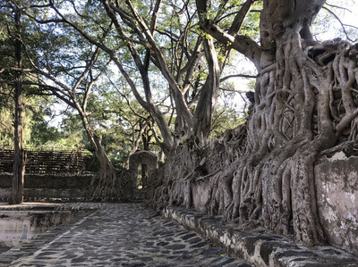 専用　古代エチオピア　土神三体　紀元前　1157g 東N7-0920① 古代エチオピア 土神三体 紀元前 1157g 東N7-0920① エチオピア