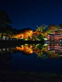 【紅葉特集】予約必須‼️10円玉に描かれた歴史的建造物と紅葉のコラボ✨✨※攻略情報付き