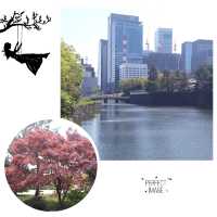 人氣打卡景點：北之丸公園